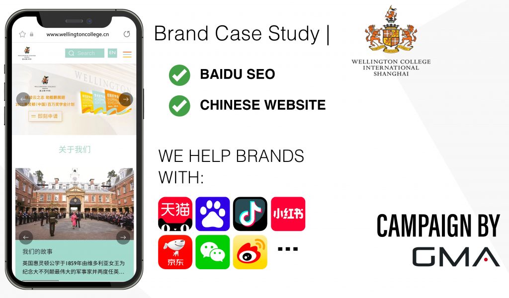 Case Sudy Baisu SEo and Chinese website